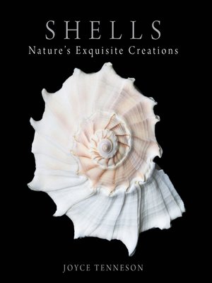 cover image of Shells
